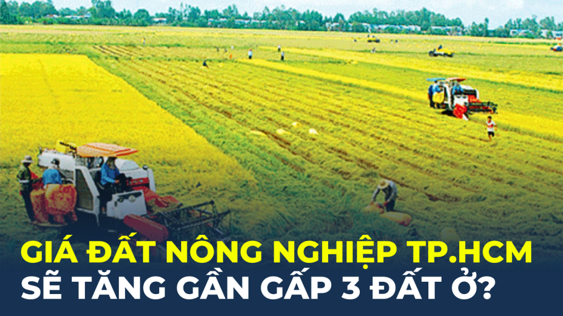 Giá đất nông nghiệp TP.HCM sẽ tăng gần gấp 3 đất ở khi áp dụng bảng giá đất mới?