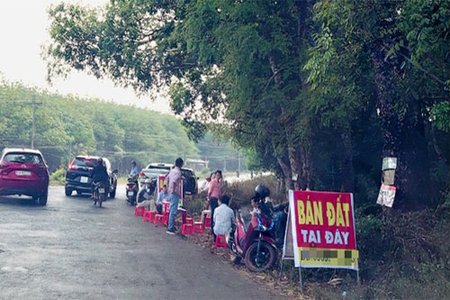 Bộ Xây dựng yêu cầu các địa phương thanh tra, xử lý đầu cơ, thổi giá bất động sản