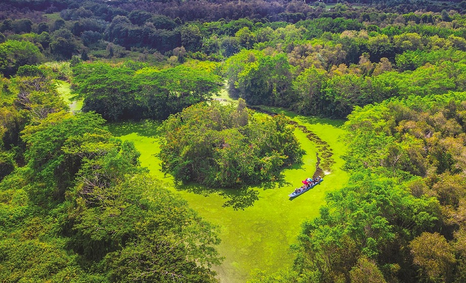 Hậu Giang lên kế hoạch làm khu du lịch sinh thái 2.800ha