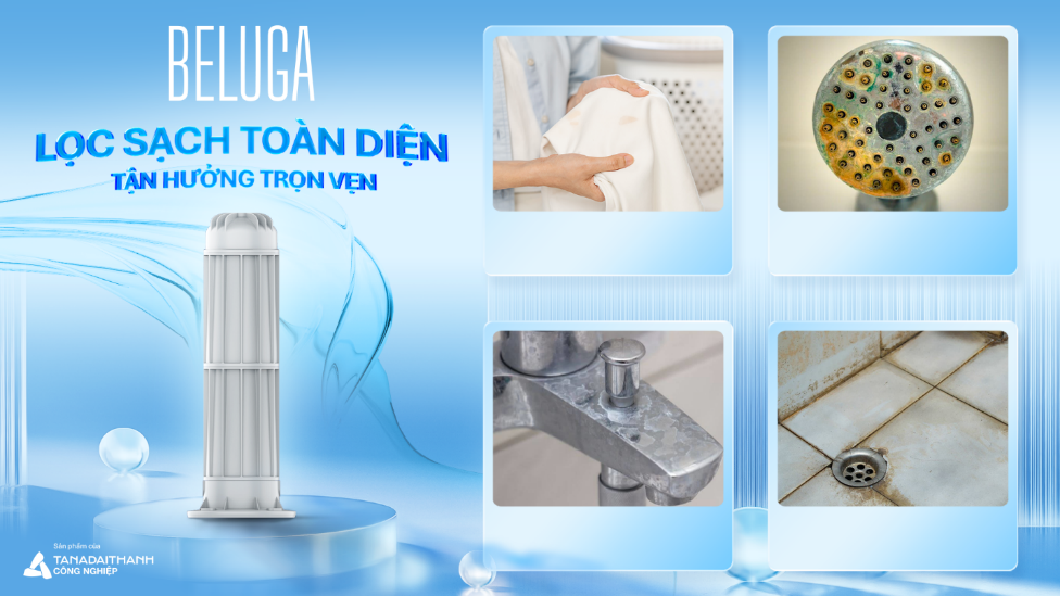Lọc đầu nguồn Beluga - Lớp bảo vệ đầu tiên cho tổ ấm gia đình