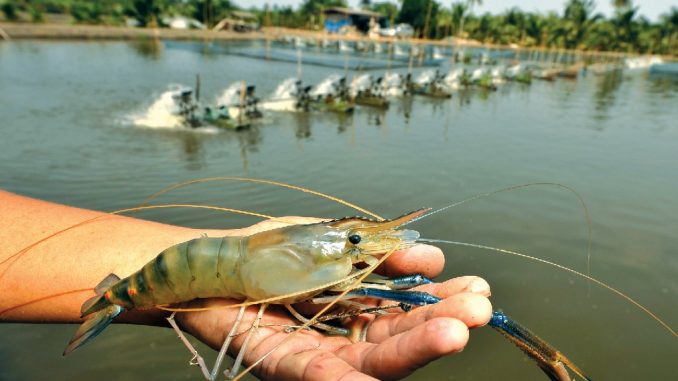 Hà Nội bồi thường 100% giá trị thủy sản, vật nuôi khi thu hồi đất