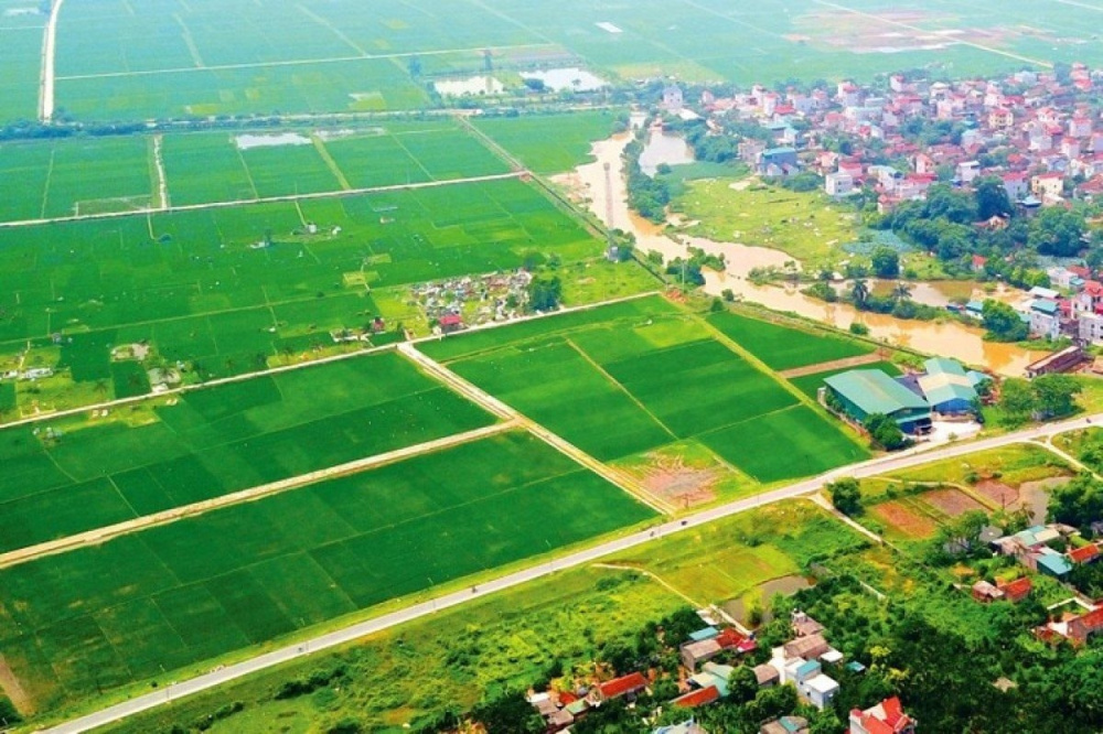 Đề xuất sửa đổi nguyên tắc miễn, giảm tiền sử dụng đất, tiền thuê đất