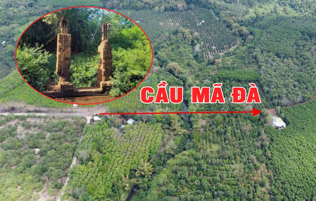 Cầu Mã Đà được động thổ, bước ngoặt hạ tầng quan trọng của Đồng Nai