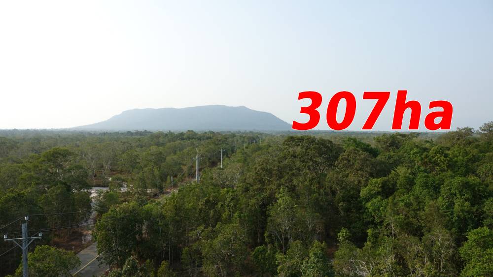 An Giang thông qua chủ trương chuyển đổi hơn 307ha đất rừng thực hiện nhiều dự án quan trọng