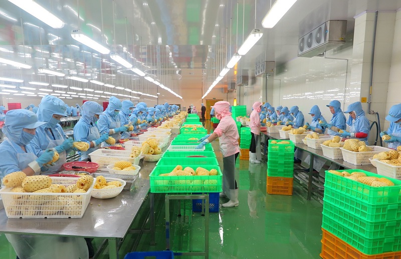 Tin vui cho người dân miền Tây