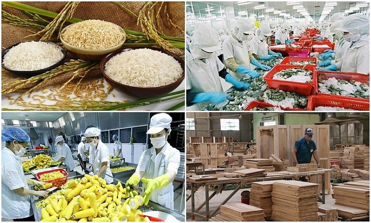 Xuất khẩu nông, lâm, thủy sản có thể cán mốc 70 tỷ USD trong năm nay
