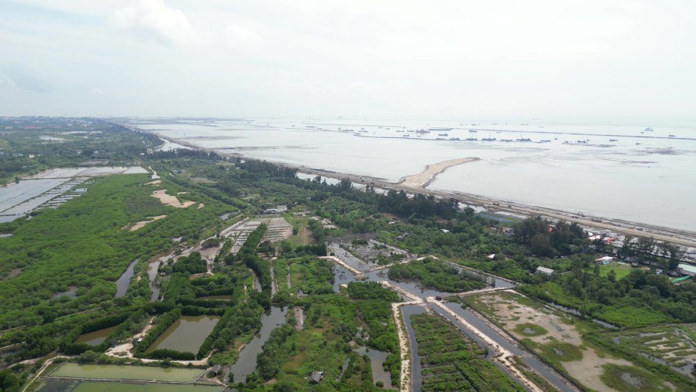 Cần Giờ từ “vùng trũng” thành mũi tên tăng trưởng mới của TP.HCM