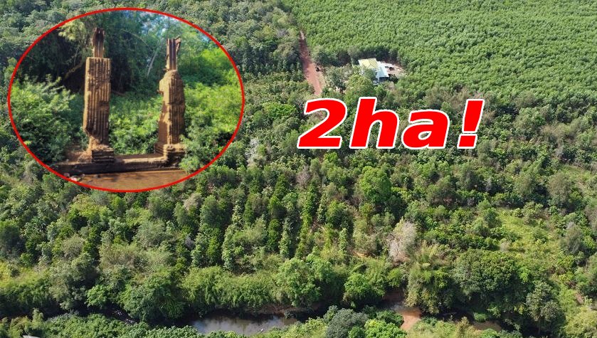 Thu hồi gần 2ha đất ở hai xã của Đồng Nai để xây cầu kết nối các tỉnh Tây Nguyên đến sân bay
