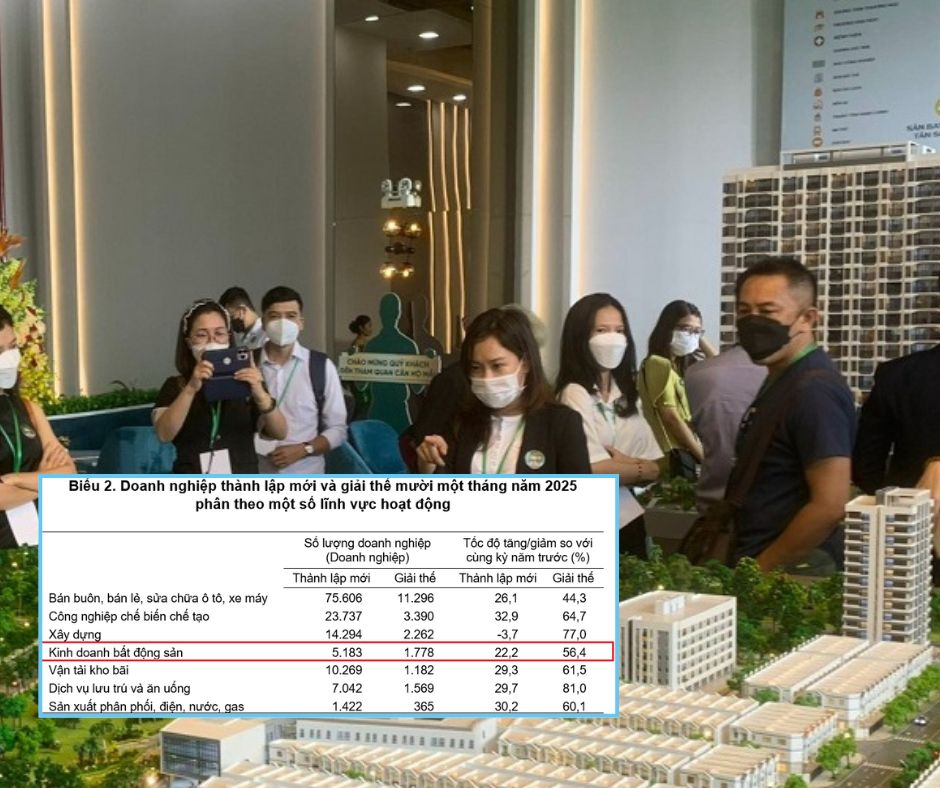 11 tháng: Doanh nghiệp kinh doanh bất động sản thành lập mới tăng mạnh