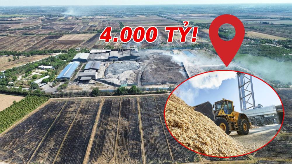 An Giang quy hoạch 2 dự án điện sinh khối hơn 4.000 tỷ - Đây là VỊ TRÍ cụ thể!