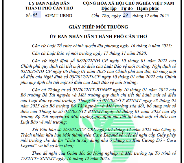 Sau Kim Cương Xanh, Cần Thơ cấp phép cho Kim Cương Đỏ- Ảnh 2.