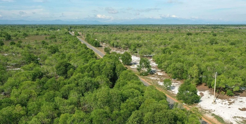 Bất động sản 24h: Điều kiện mới chuyển mục đích sử dụng đất lúa, đất rừng dưới 2ha tại Cần Thơ