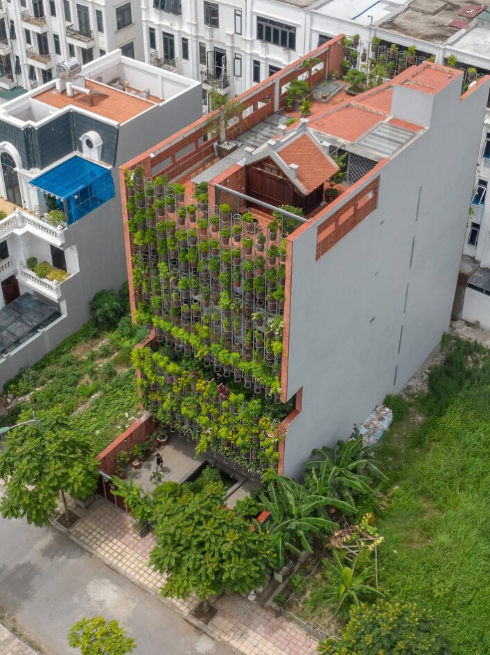 Nhà 5 tầng Thái Bình lột xác với mặt tiền như thảm thực vật bay lơ lửng giữa trời